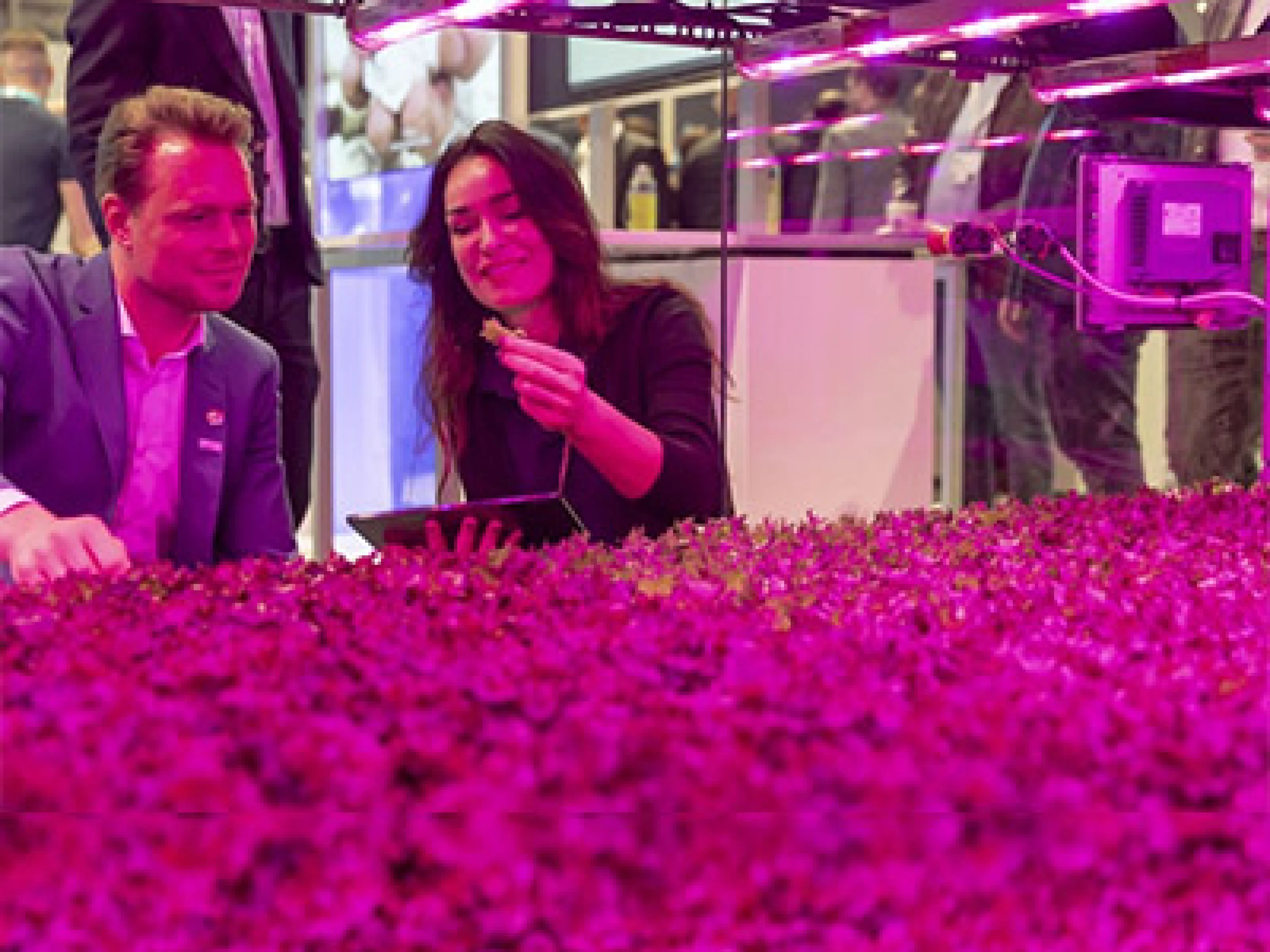 Die Hannover Messe 2024 zeigt Lösungen für eine nachhaltigere Industrie