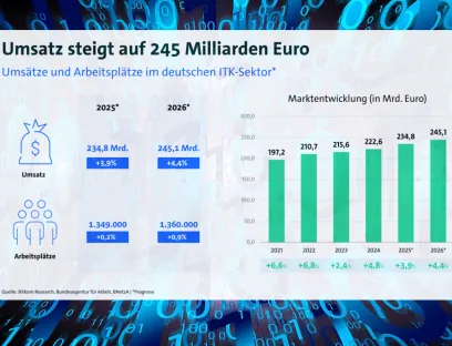 Software & Telekommunikations-Infrastruktur treiben die Umsatzentwicklung im Bereich Digitalwirtschaft voran